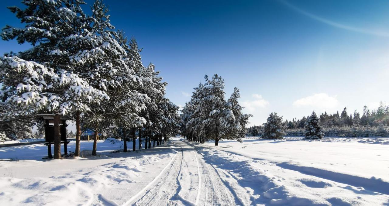 Domki Baligowka Aurelia I Maximus Zakopane Exteriér fotografie