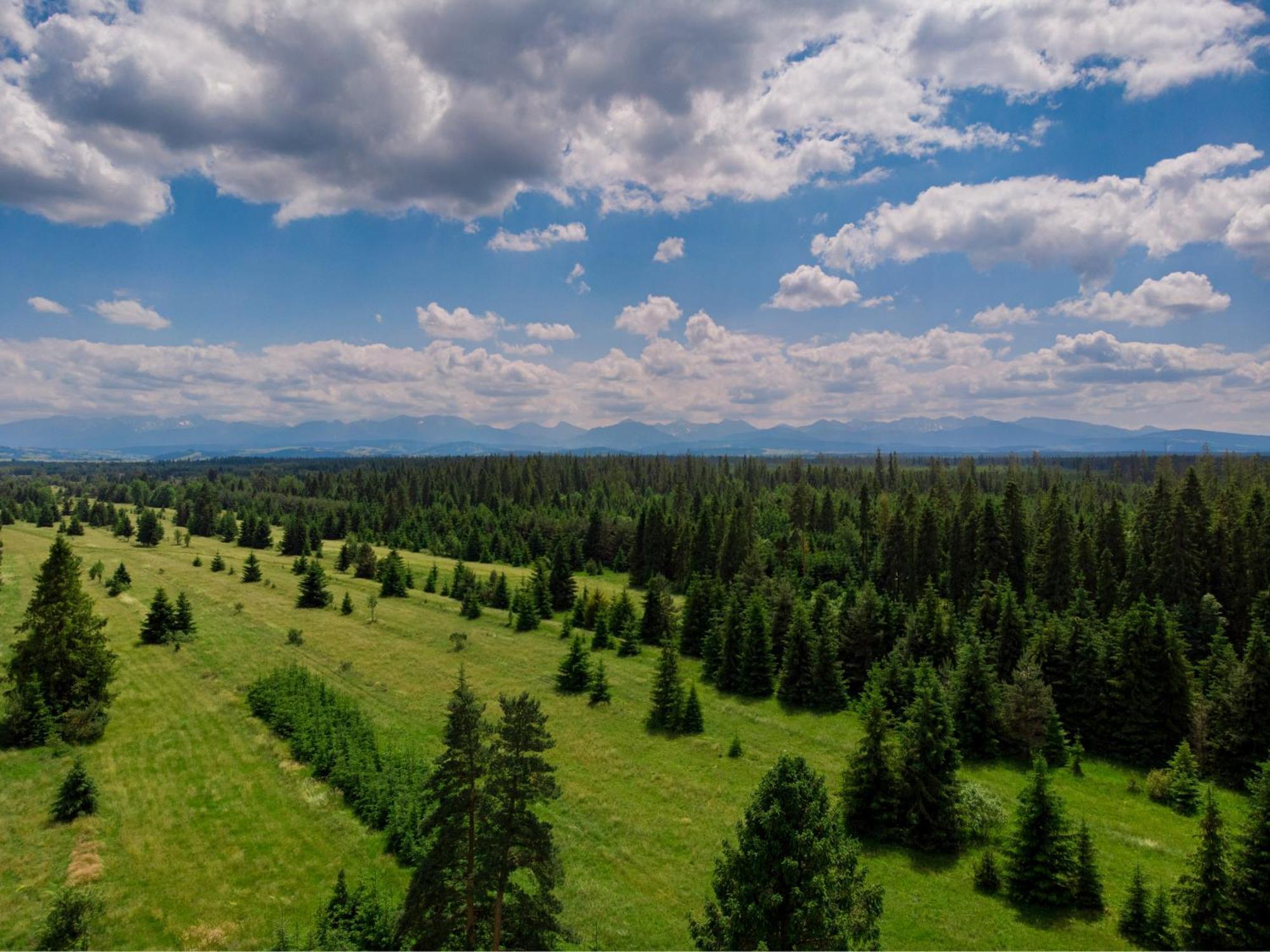 Domki Baligowka Aurelia I Maximus Zakopane Exteriér fotografie